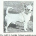 AMICHIS DANIEL DUMBO EARS