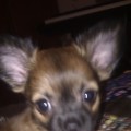 IMAG0154