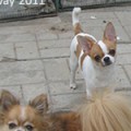 Manny and Tyson 2011