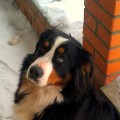 IMAG0026-1-1-1