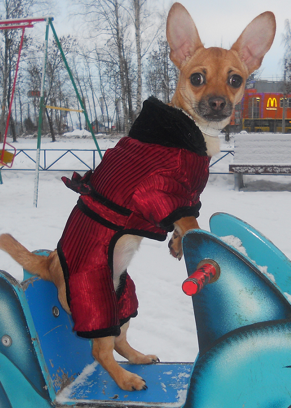 Юная модель