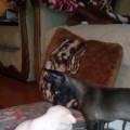 CAM00212