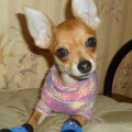 DSC02069