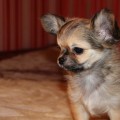 IMG_1670