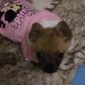 IMG_0065