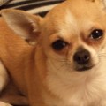 DSC00065