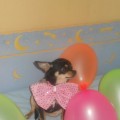 DSCN0456