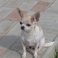 IMG_3994