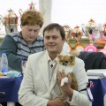 Монопородная выставка чихуахуа