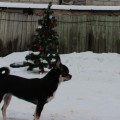 Новый год на даче!